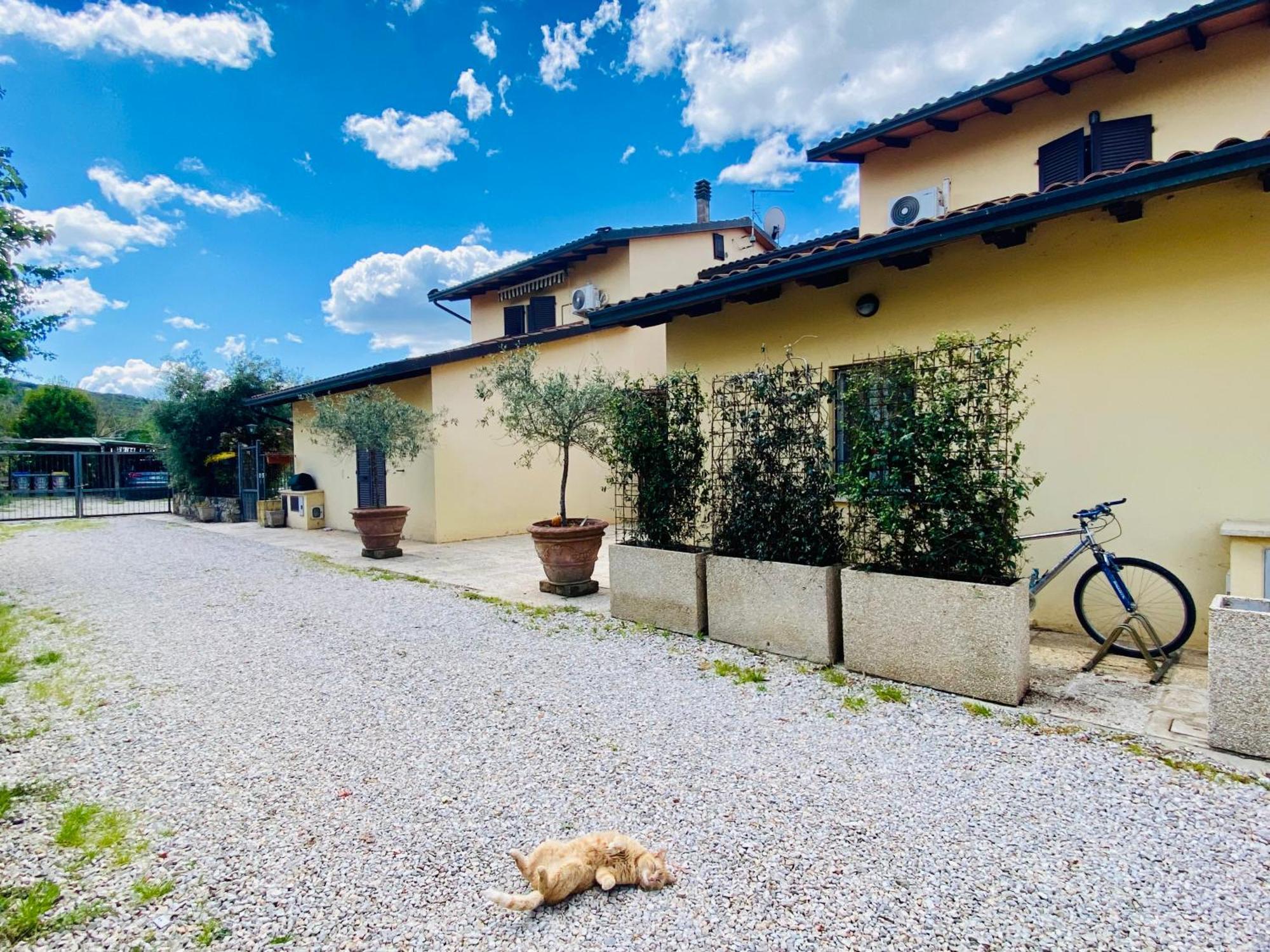 Casa Vacanze Barbara SantʼArcangelo Eksteriør billede